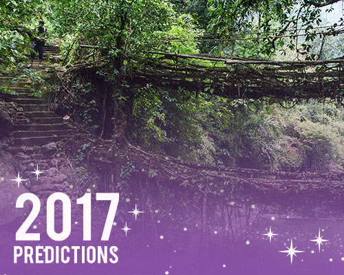 designboom's TECH predictions for 2017: biodesign in architecture