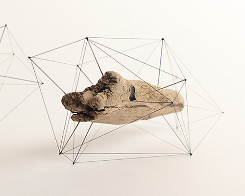 studio note frame driftwood + flowers in delicate polygonal skeletons