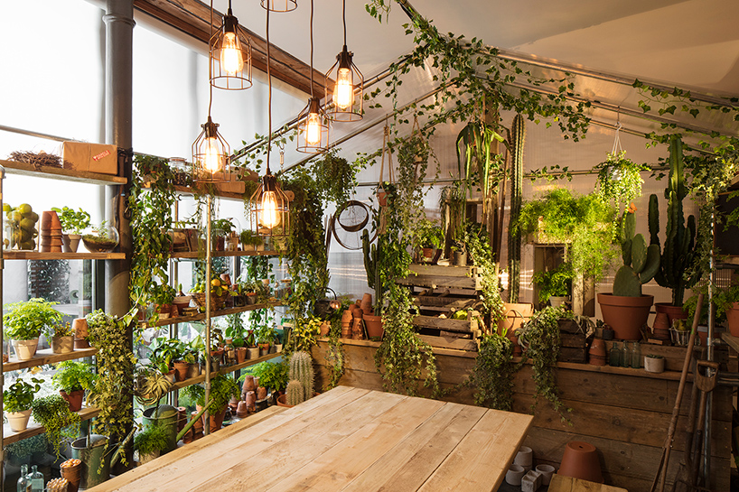 airbnb + pantone bring a bookable, greenery-themed apartment to life in ...