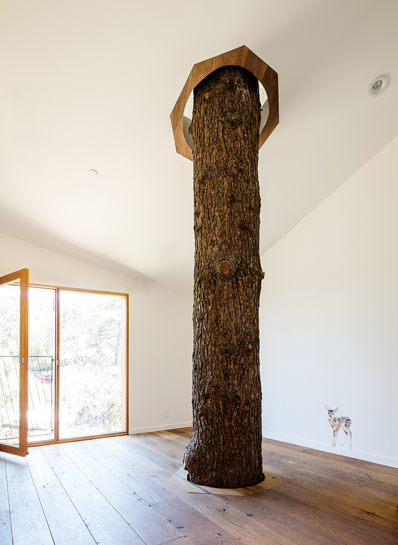 anonymous-architects-house-in-trees-echo-park-los-angeles-california-designboom-02