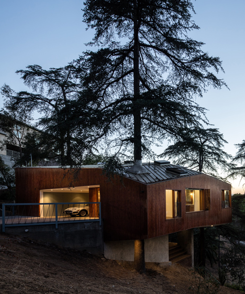 cantilevered dwelling by anonymous architects exists amid the trees in los angeles