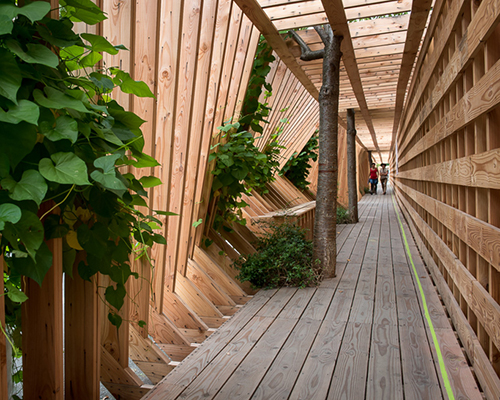 atelier vecteur carves an oscillating timber tunnel through nantes, france