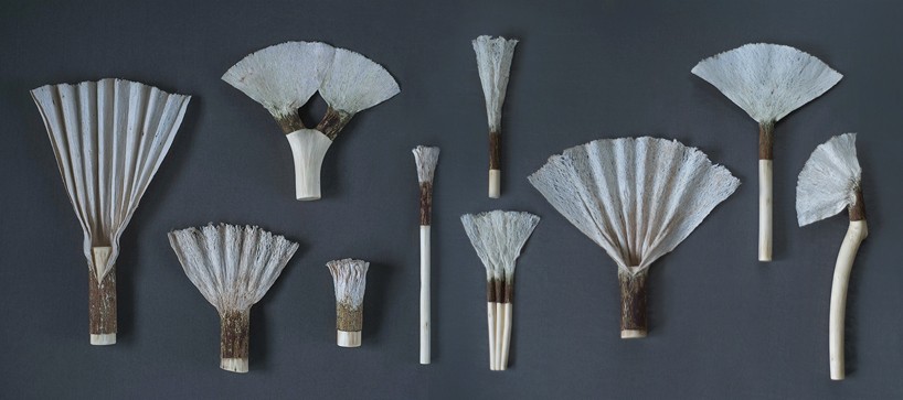 chialing-chang-scalloping-series-designboom-01