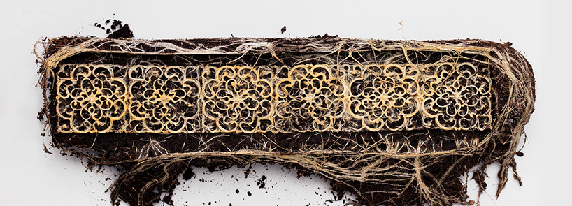 diana-scherer-root-manipulation-designboom-01