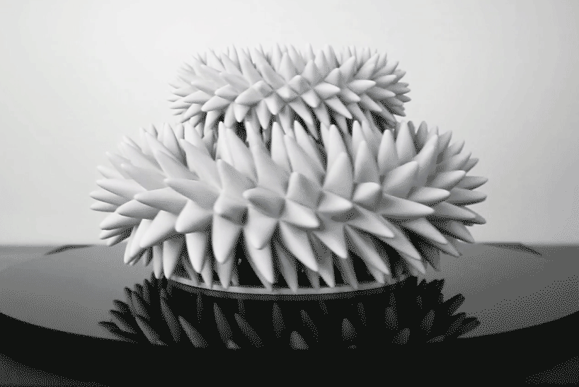 john-edmark-3d-printed-blooms-strobe-animated-sculptures-designboom-04