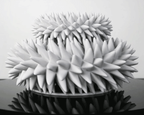 john edmark's 3D printed strobe-animated 'blooms' move like magic