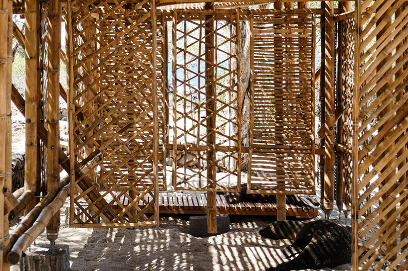 shelter in the galapagos by the scarcity and creativity studio