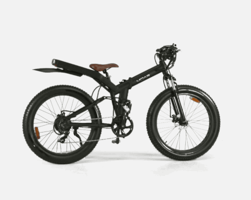 the MOAR foldable ebike packs a serious 750W engine
