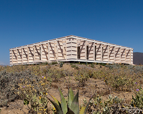 christian izquierdo builds pinewood vacation home on top of a sand dune