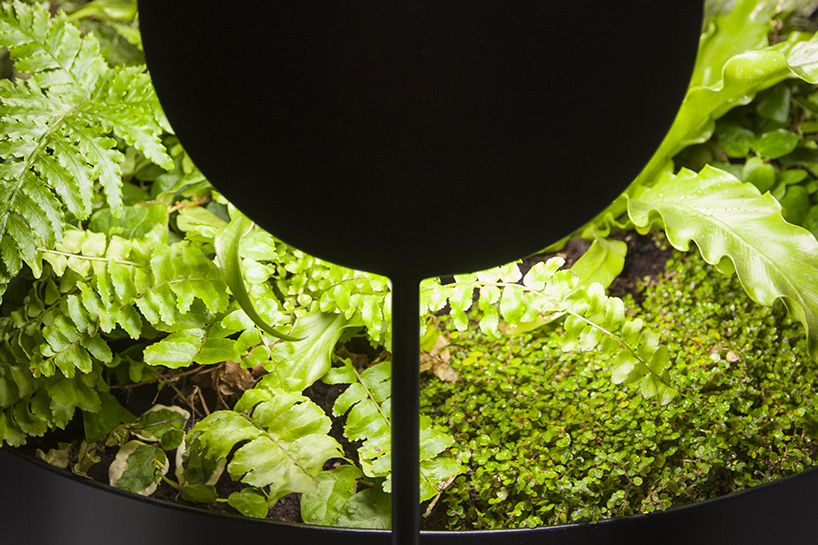 goula figuera viride plant plus lamp designboom