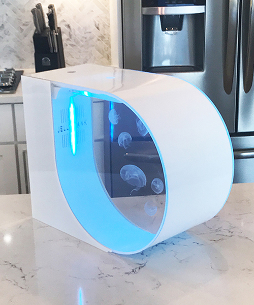 blake and brock gratton introduce jellytank, the ultimate desktop aquarium