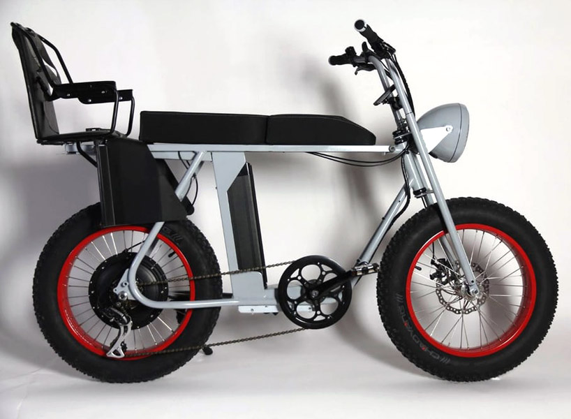 two person electric bicycle