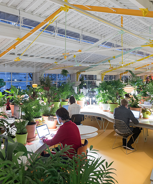 selgascano fills second home lisbon creative incubator with 1,000 plants