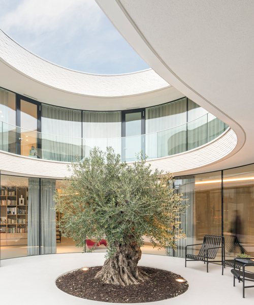 MVRDV curves casa kwantes around a single olive tree