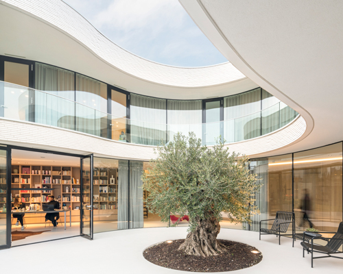 MVRDV curves casa kwantes around a single olive tree