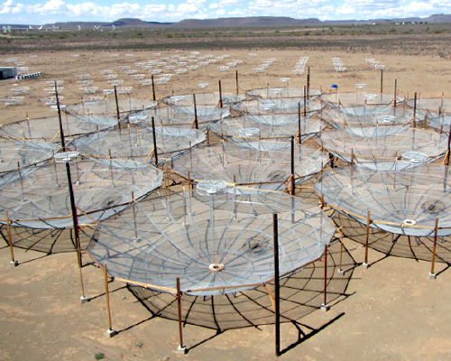 hundreds of delicate cobweb structures make up the HERA radio telescope