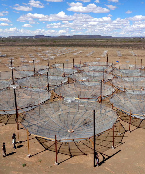 hundreds of delicate cobweb structures make up the HERA radio telescope