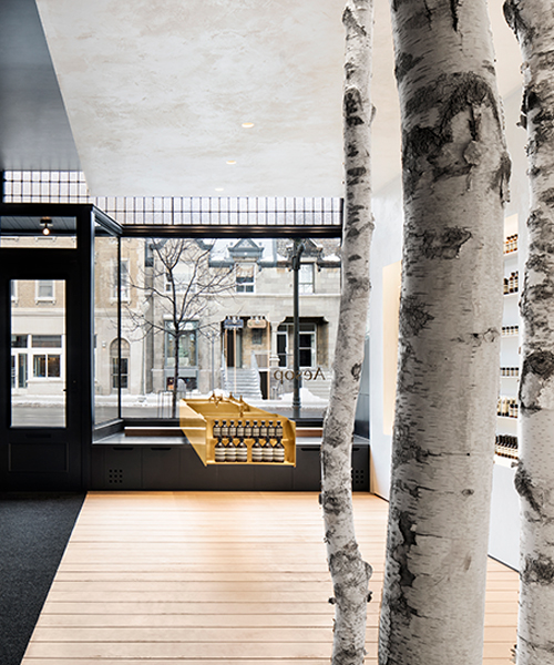 alain carle plants three birch trees into aesop westmount in montreal