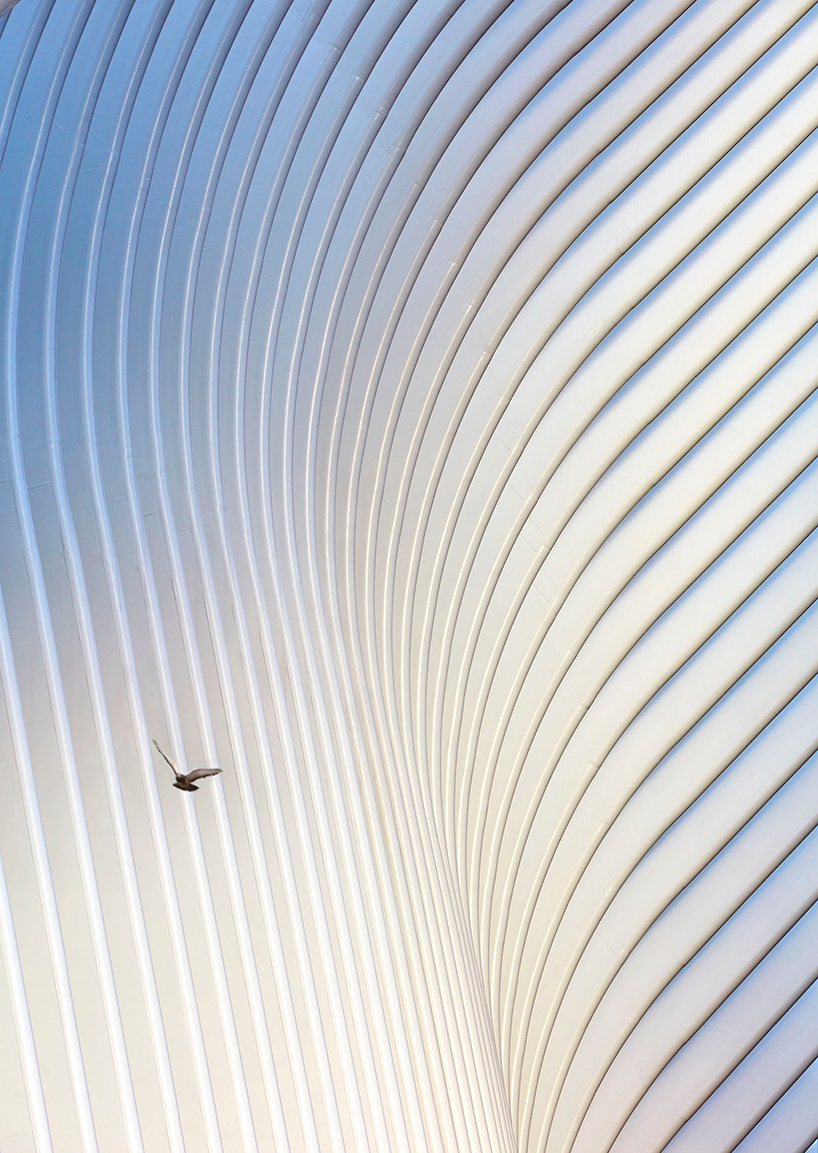 anise-gallery-sacred-geometries-architectural-photography-designboom-02