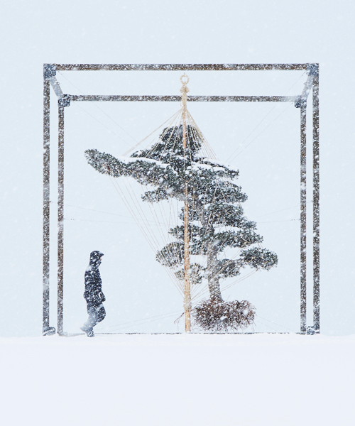 azuma makoto floats a tremendous pine tree above a snowfield in japan