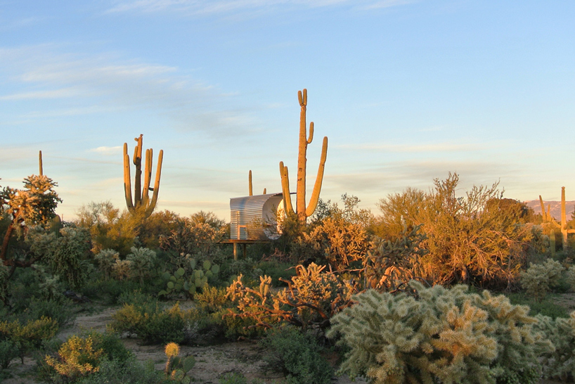 jiří příhoda cacti cabin