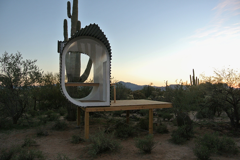 jiří příhoda cacti cabin