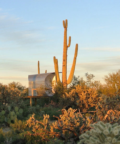 jiří příhoda's cacti cabin hovers above arizona's desert landscape