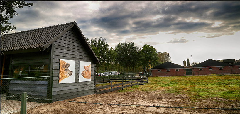 koen-vanmechelen-round-up-design-indaba-designboom-10