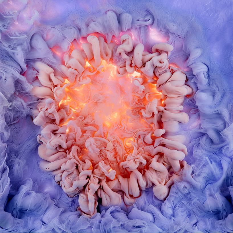 mark-mawson-flowers-and-swirls-photography-designboom-01
