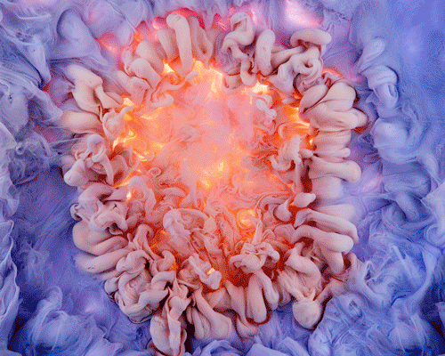 mark mawson's liquid images spellbind with saturated flowers and swirls