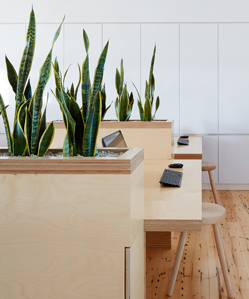 birkenstock australia HQ designed with greenery and sustainability at its core