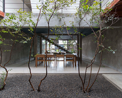 palinda kannagara introduces nature into linear house in sri lanka