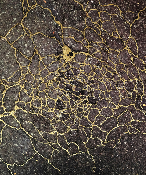 rachel sussman uses gold to 'repair' cracked sidewalks in homage to japanese 'kintsukuroi' art