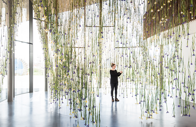rebecca louise law now gallery