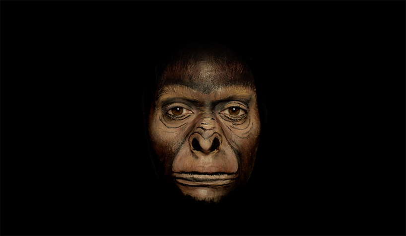 santiago-emma-allen-designboom-04