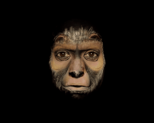 emma allen traces the history of humankind by transforming her face with paint