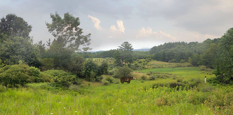 todd-baxter-owl-scouts-designboom-09