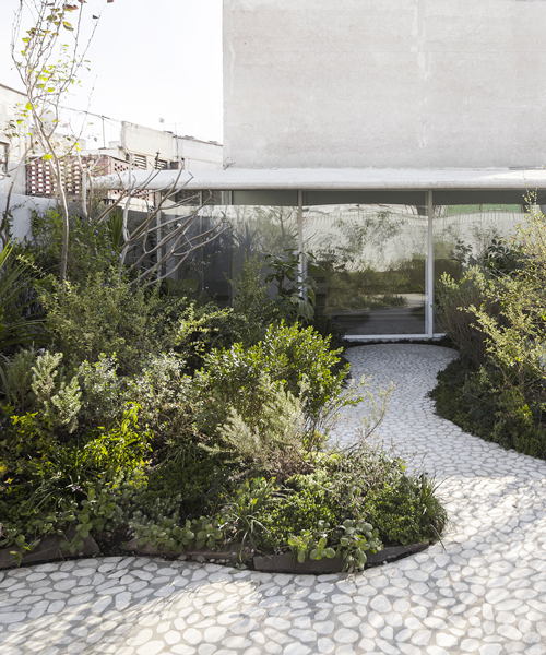 zeller & moye transforms mexico city townhouse with secluded roof garden