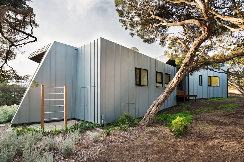 ande-bunbury-architects-zinc-house-australia-designboom-01