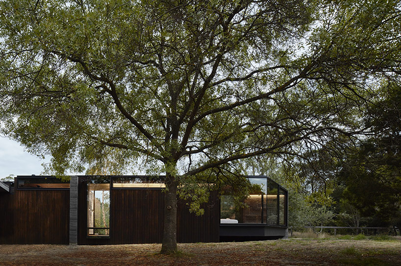 branchstudioarchitects_pavilionbtwntrees