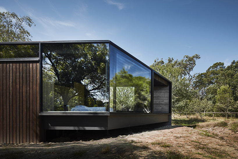 branch studio architects extends family home with a pavilion between trees