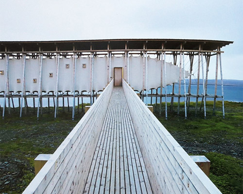 book review: william hall celebrates timber in latest phaidon book 'wood'