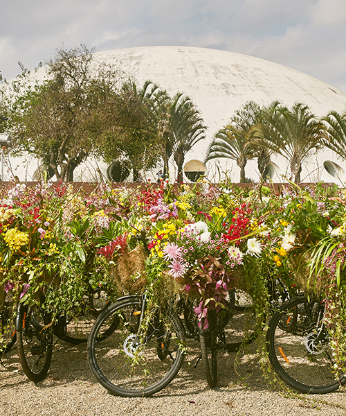 fleet of flower bicycles by azuma makoto take to the streets of são paulo