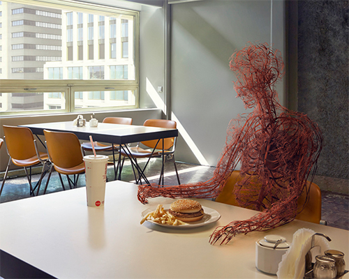 jan kriwol and markos kay imagine a day in the life of the human circulatory system