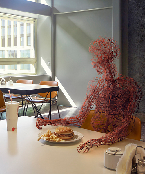 jan kriwol and markos kay imagine a day in the life of the human circulatory system