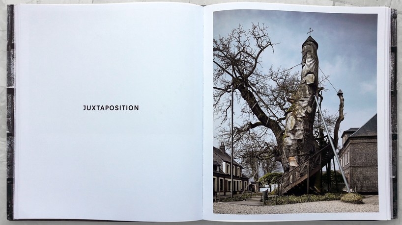 william hall celebrates timber in latest phaidon book 'wood'