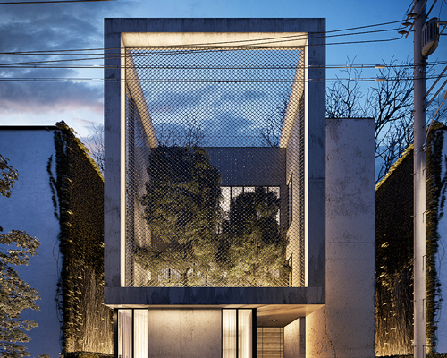lines design reveals urban garden through mesh screen of cube house