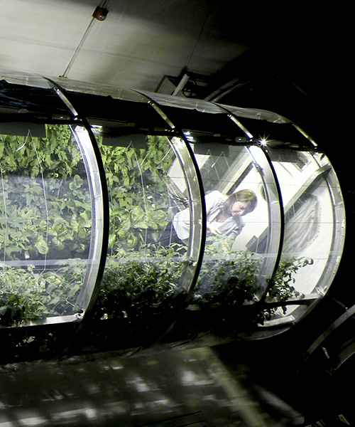 NASA designs inflatable greenhouse for sustainable farming on mars