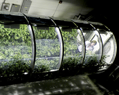 NASA designs inflatable greenhouse for sustainable farming on mars