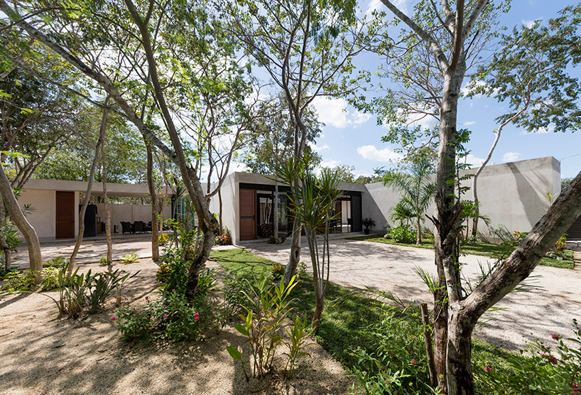 taller estilo blends nature and architecture in mexican house